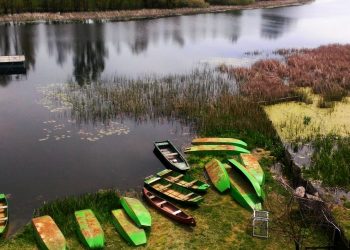 Specijalni rezervat prirode Zasavica – mesto gde čovek i priroda govore istim jezikom