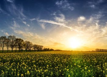 Privredna komora Vojvodine nagradila najbolje u ugostiteljskoj i turističkoj delatnosti AP Vojvodine za 2018. godinu