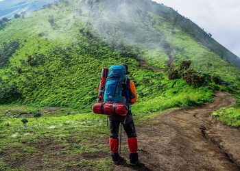Saputnik svakog avanturiste