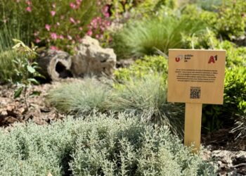 Urbani vrtovi širom Srbije unapređeni novim sadržajima u okviru projekta „Niklo kao ja“